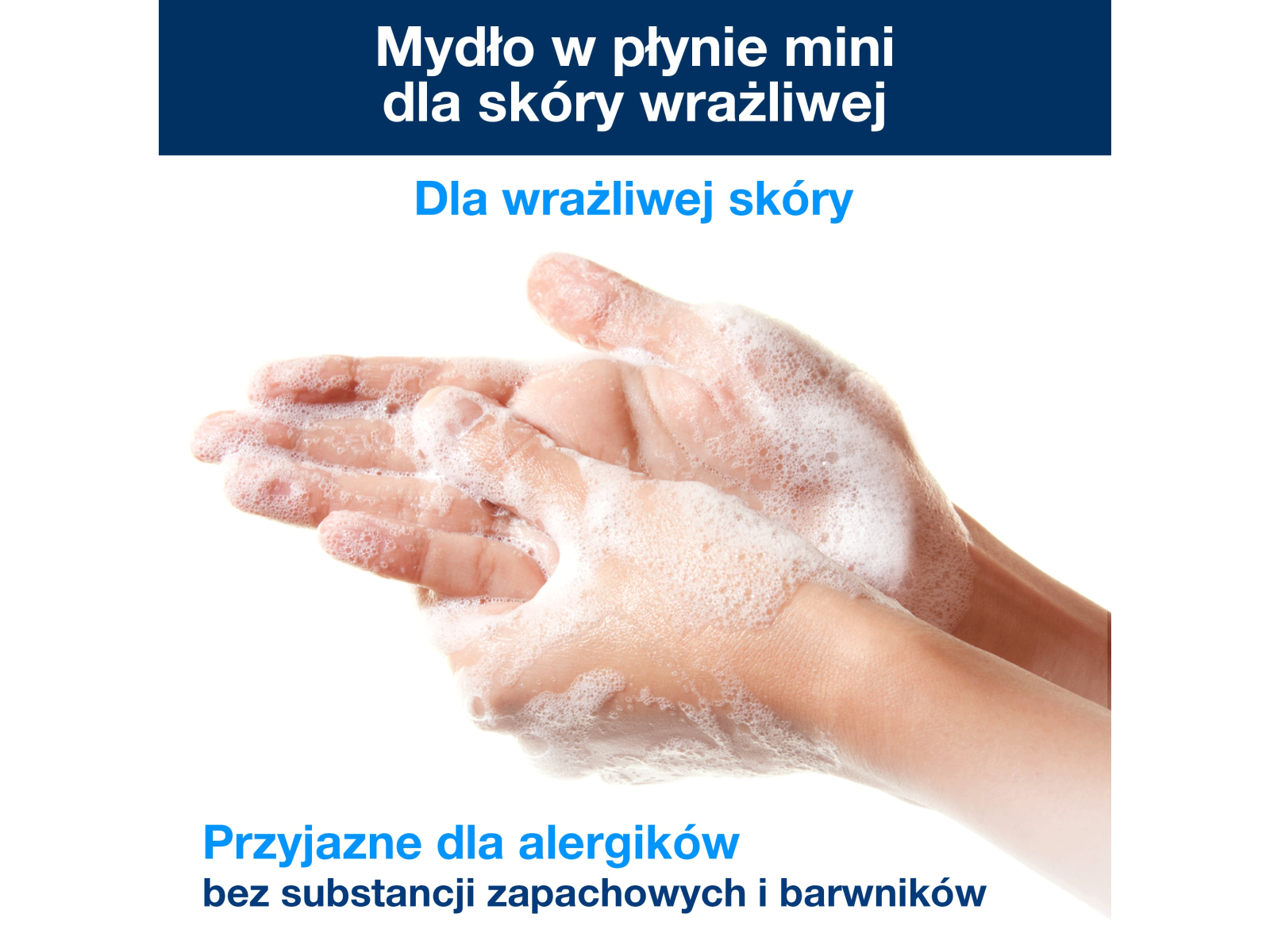 Dodatkowe zdjęcie